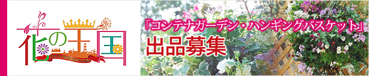 豪斯登堡集裝箱花園吊籃展覽申請指南